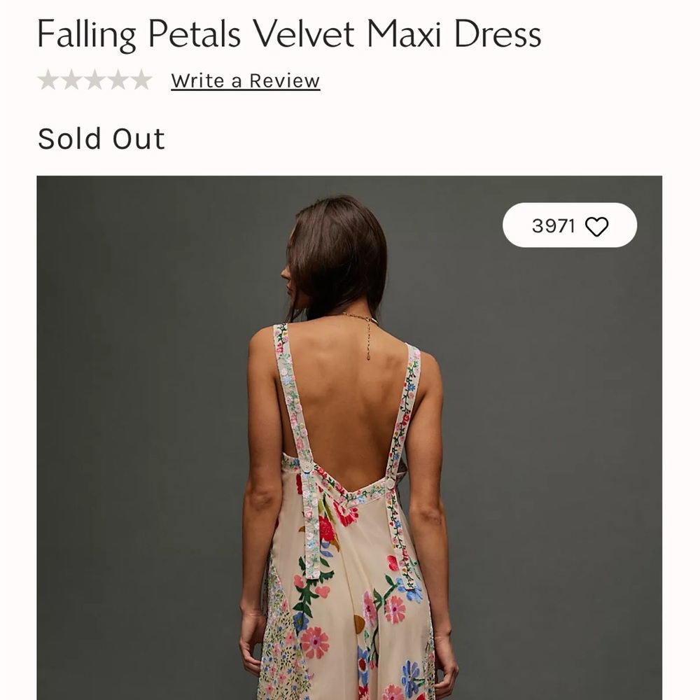 NWT Falling Petals Velvet Maxi - Free People